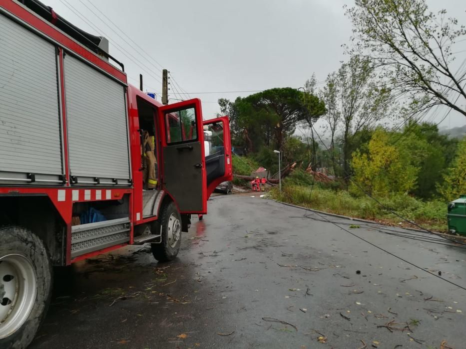 Destrosses a Riells i Viabrea per un tornado