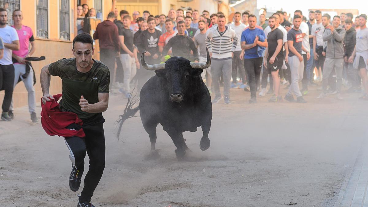 Foto de uno de los toros de la tarde de este miércoles en la Vall.