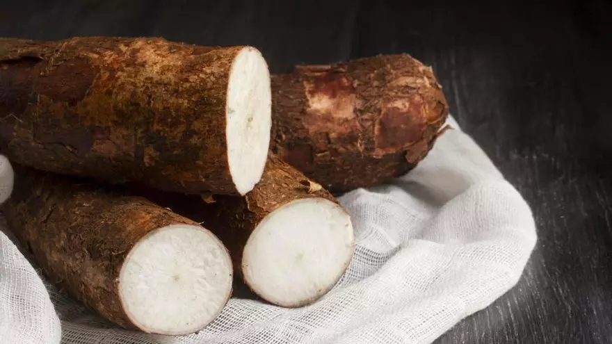 Estas son las enfermedades que la yuca ayuda a combatir