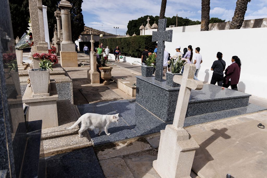 Día de Todoso los Santos en el cementerio de Los Remedios de Cartagena