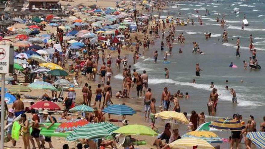 Vecinos de La Mata recogen firmas en contra de la playa para perros