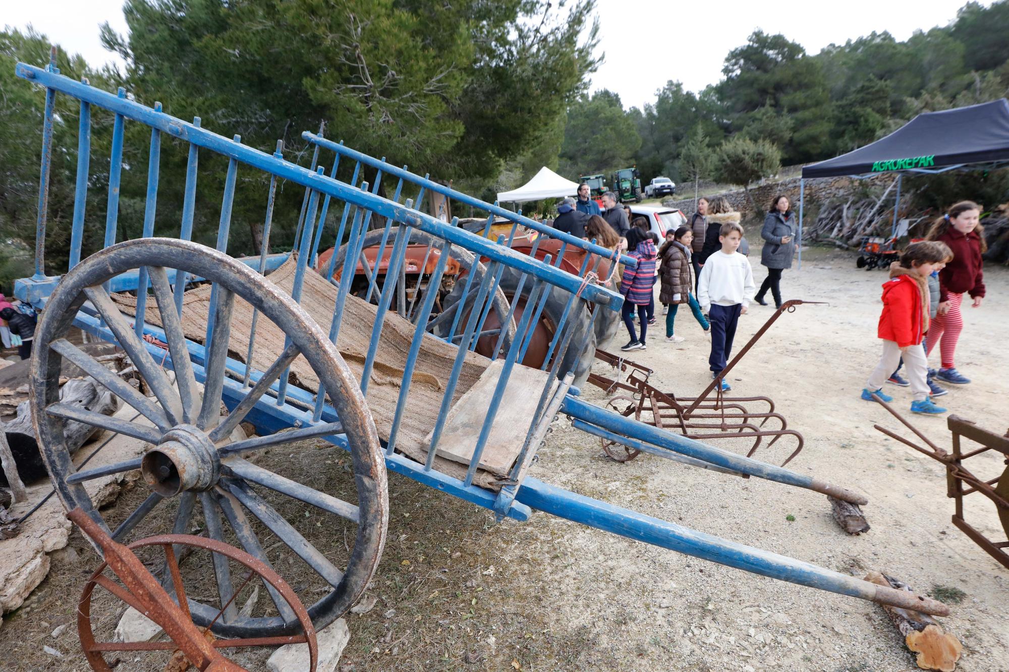 Galería de imágenes de la 'Festa de la Sitja' de Santa Agnès