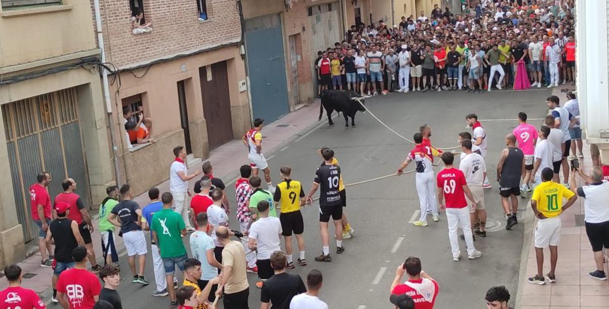 Hora y media de Glorificado