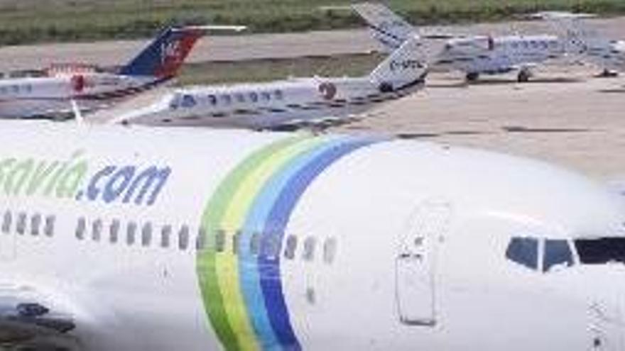 Transavia volarà a Amsterdam a partir del 25 d&#039;abril