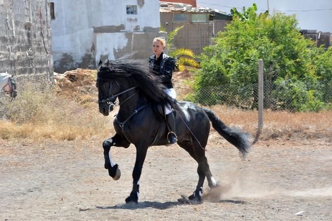 FIESTAS DE SAN PEDRO INGENIO