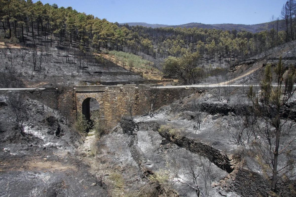 Consecuencias de un incendio forestal en la comarca cacereña de Las Hurdes, en Extremadura.