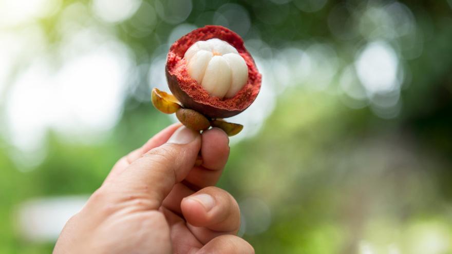 Estas son las diez frutas más raras que existen (la novena te sorprenderá)