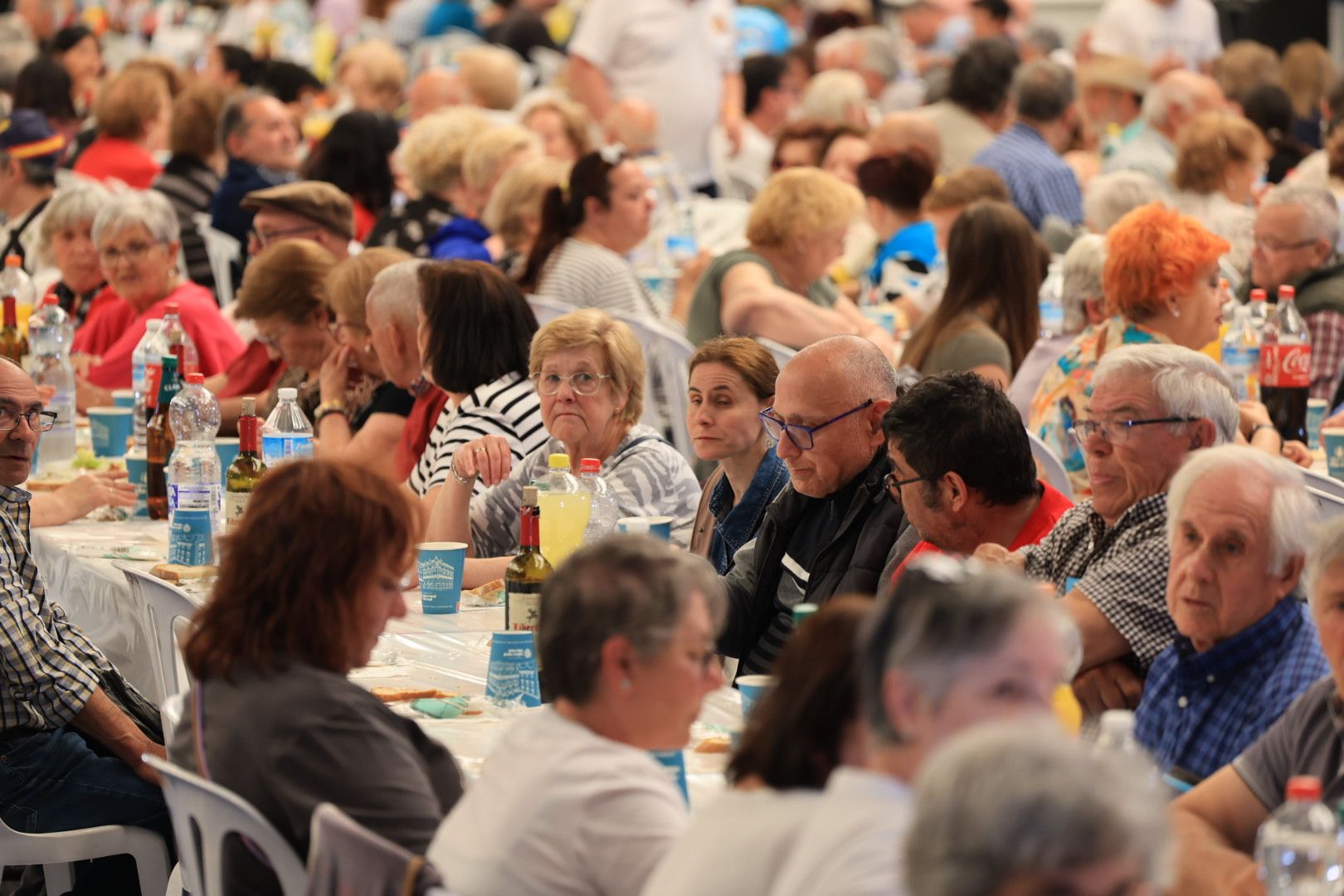 FOTOGALERÍA I Las imágenes de la sexta jornada (miércoles) de las fiestas patronales de Sant Pasqual en Vila-real