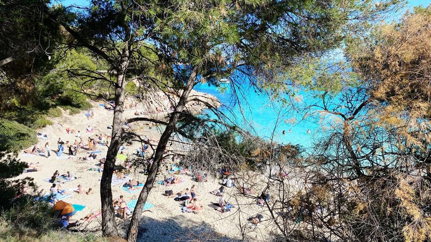 Sehnsucht nach Mallorca? So schön war es am Sonntag (18.2.) in Illetes und am Caló des Moro