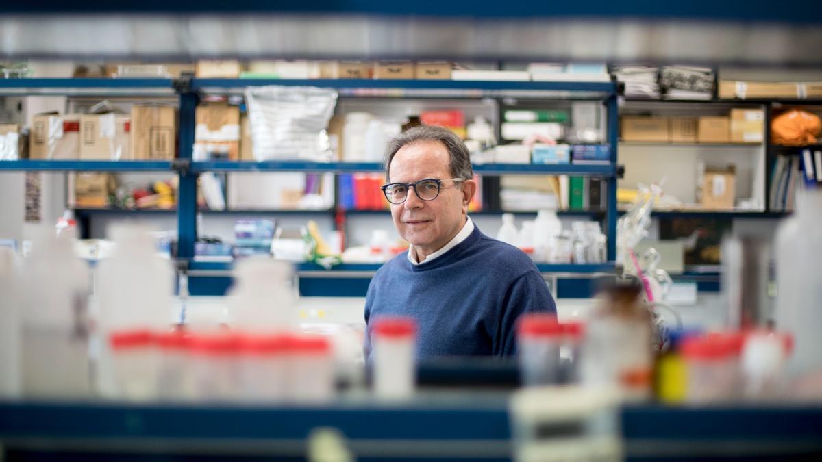 El profesor de investigación Avelino Corma en un laboratorio.