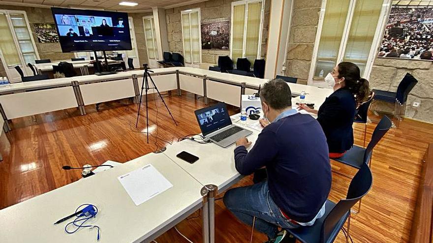 Reunión telemática del PP con los colectivos del Plan Social.   | // FDV