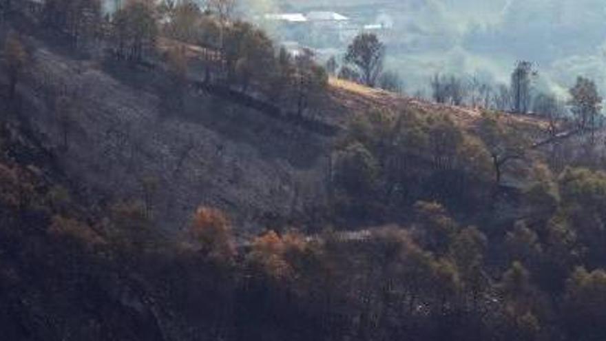 El parc natural de la Serra do Xurés ha quedat devastat