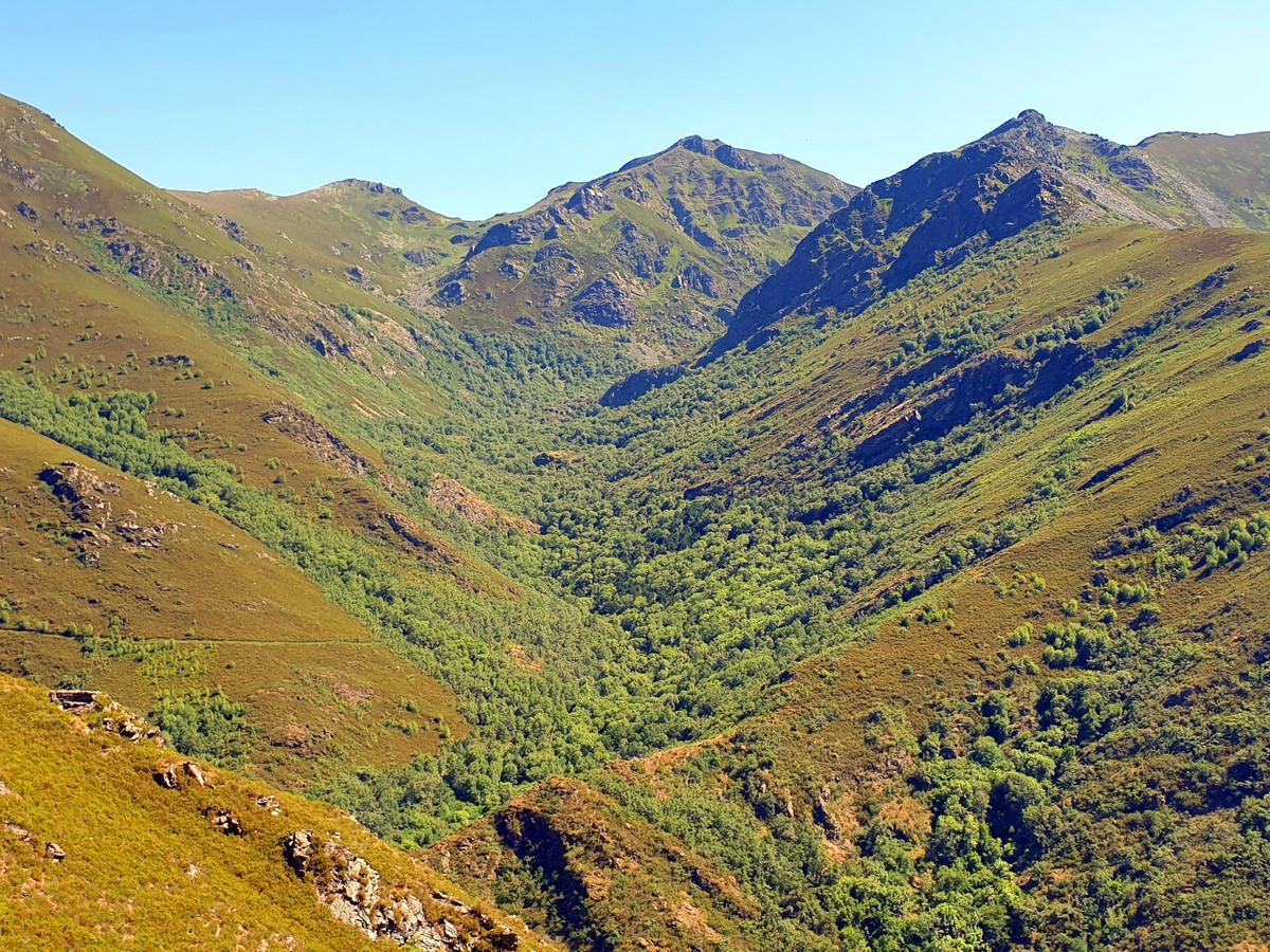 Trevinca, Casayo (Carballeda de Valdeorras, Ourense). Ruta circular por eTeixadal de Casaio desde Alto de la Cabrita y Valborraz. Es uno de los pocos bosques naturales de tejos y más importantes de Europa, una de las pocas reservas de tejo (Taxus bacchasta) existentes en el planeta, y el bosque más antiguo de Galicia (además de ser el único de estos árboles, los tejos).