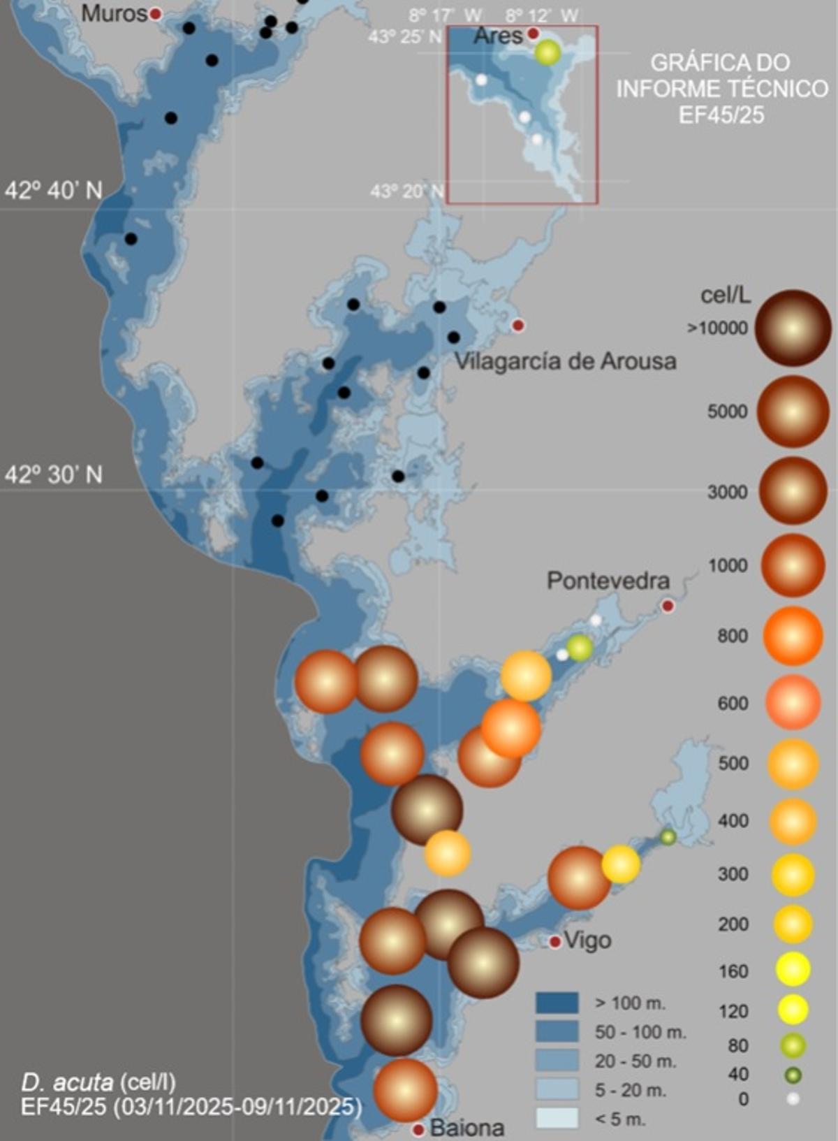 La presencia de dinoflagelados causantes de la toxina diarreica (DSP) es notable en las Rías Baixas.