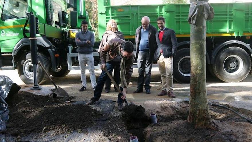 El concejal ayudó a plantar el nuevo árbol.