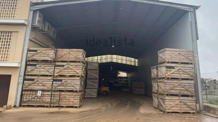 VÍDEO | Las instalaciones de s’Esplet de sa Pobla salen a la venta por 5 millones de euros