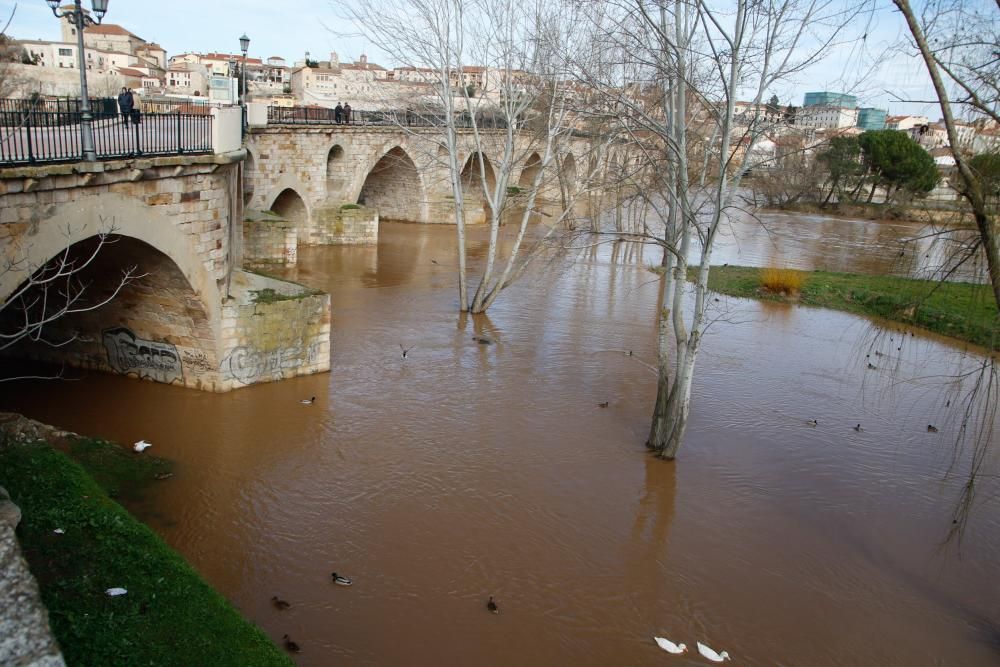 El aspecto del Duero tras las últimas avenidas