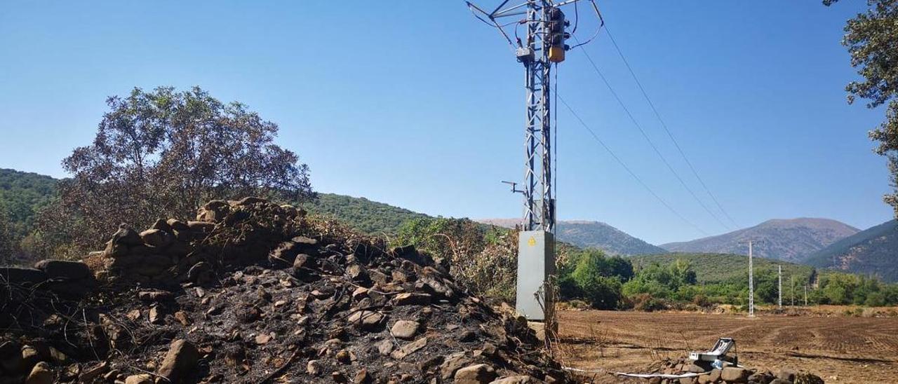 El transformador donde los vecinos aseguran que se originó el fuego y donde los agentes de protección de la naturaleza ya están analizando.