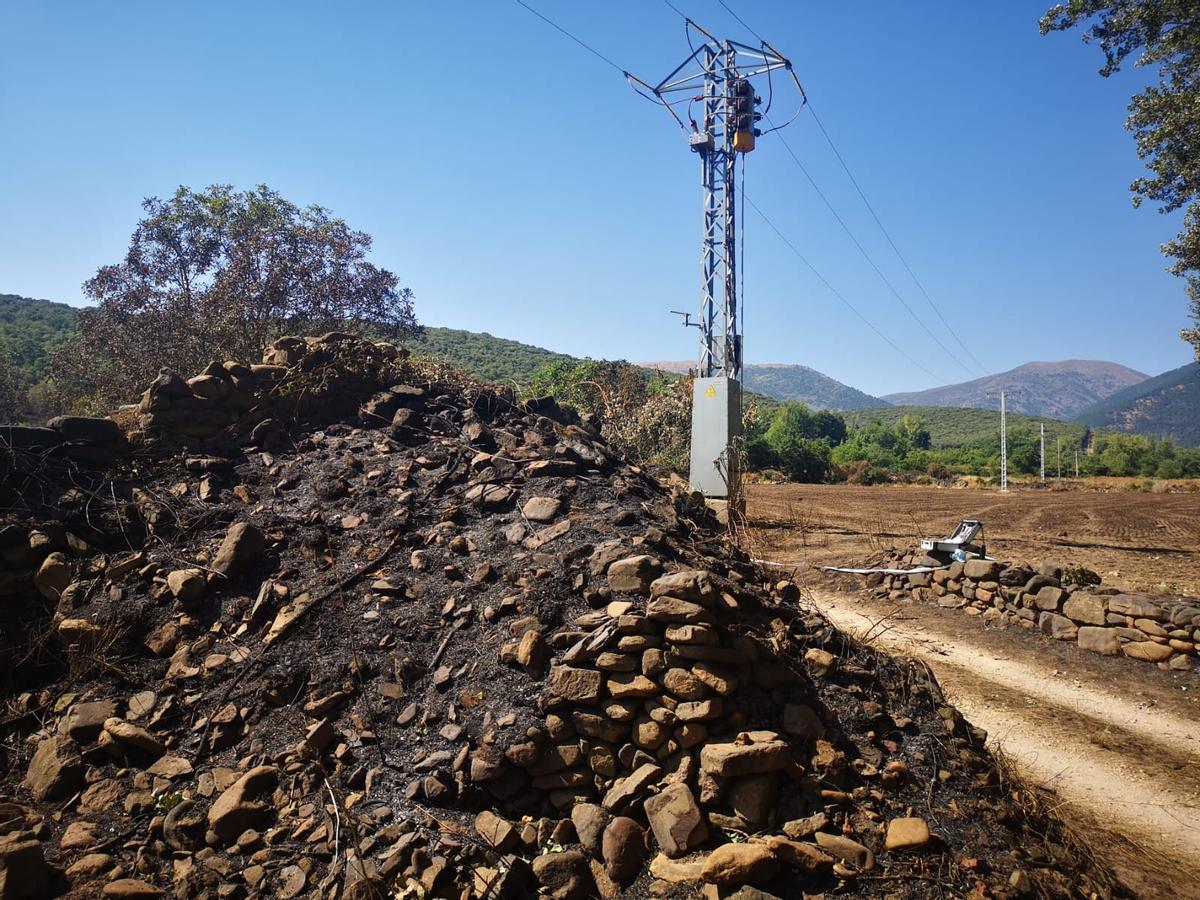 El transformador donde los vecinos aseguran que se originó el fuego y donde los agentes de protección de la naturaleza ya están analizando.