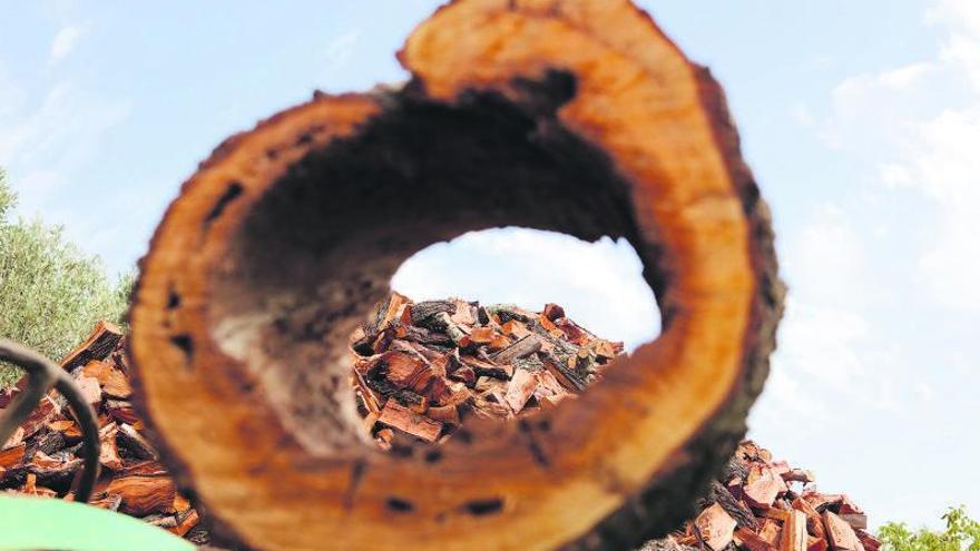 Heizen auf Mallorca: Was Brennholz auf der Insel kostet