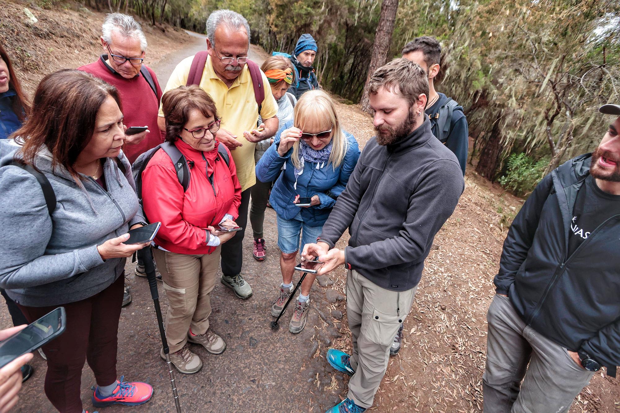 Tercera edición del Biomaratón de Flora Española, en el Parque Recreativo La Caldera, La Orotava