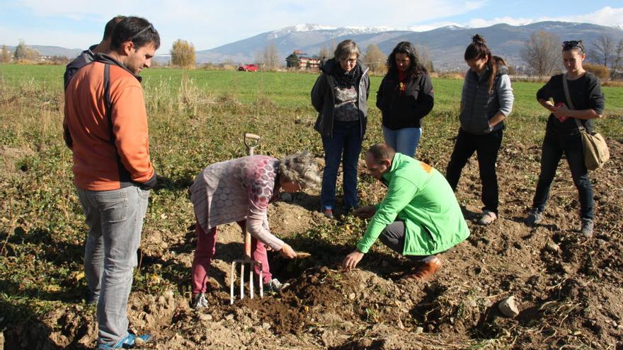 Una visita a un camp de naps situat als afores de Puigcerdà, en el marc d&#039;una jornada tècnica celebrada a Ger