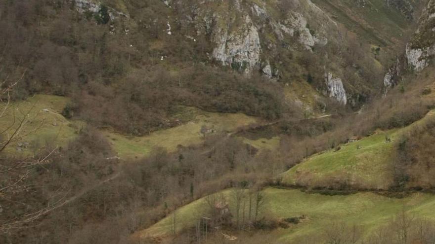 Zona del monte Raigosu, en Laviana. | FERNANDO RODRÍGUEZ