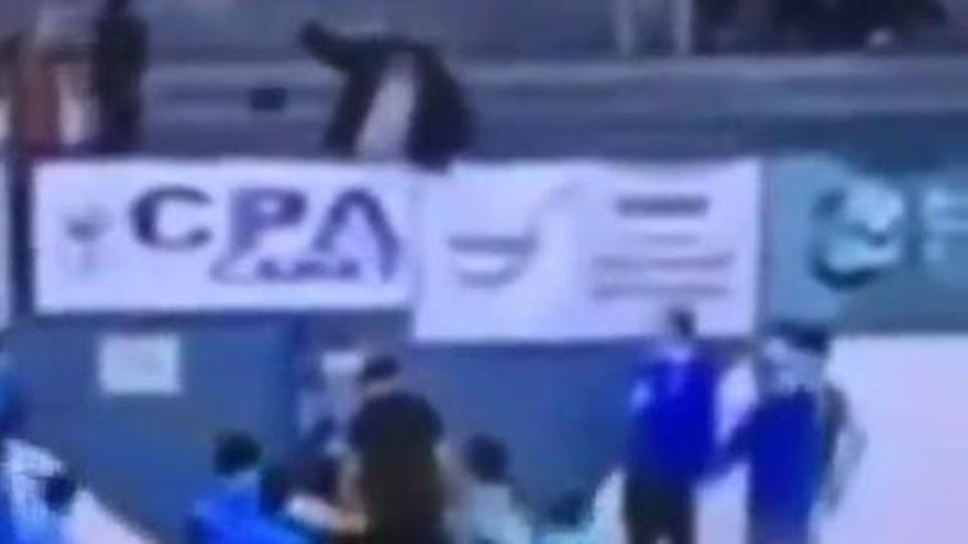 La intolerable agresión que ha provocado la suspensión de todos los partidos de fútbol sala en Catalunya