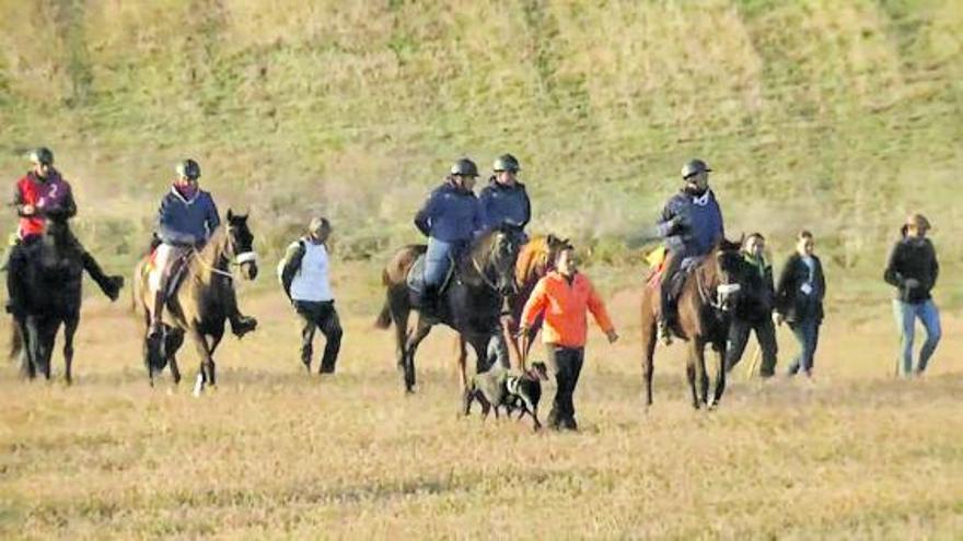 Zamora cuenta ya con dos finalistas en la fase previa del Campeonato de España de Galgos