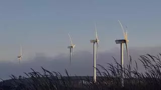 Frente común en Catalunya para acelerar la transición verde: "Debemos volver a liderar"