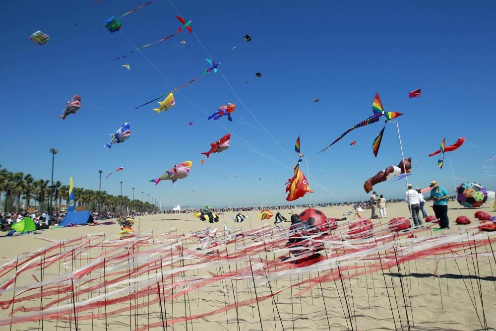 Festival del Viento 2016 en la Malva-rosa