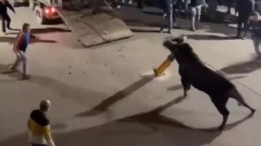 Susto en el bou embolat de Turís