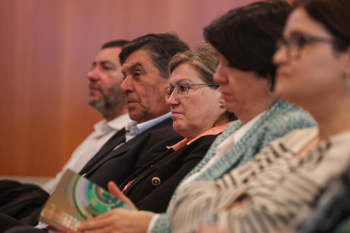 Carolina Escandell durante la presentación del informe en la sede del Consell.