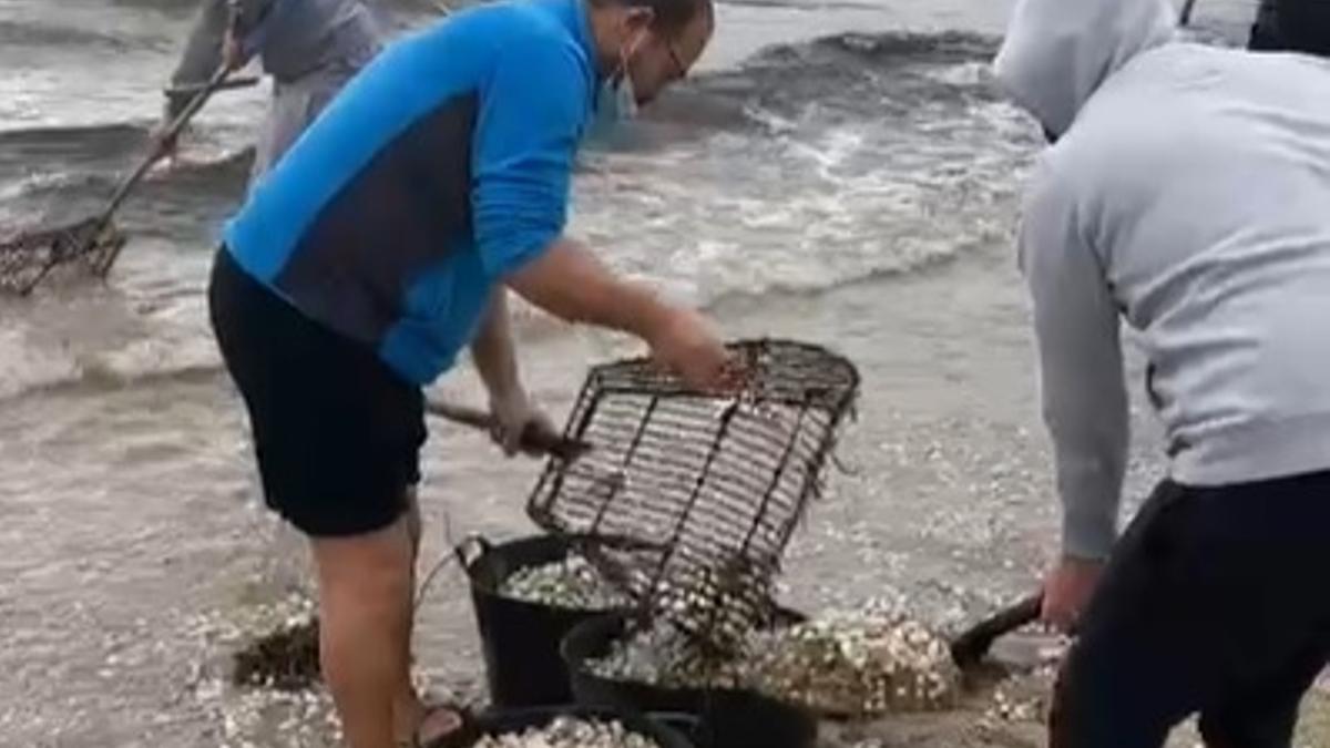 Los mariscadores retiran bivalvo muerto en sus bancos, hace unos días.