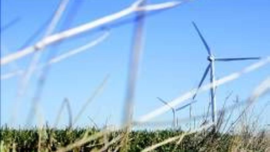 La potencia eólica generada en España aumenta el 10% en un año