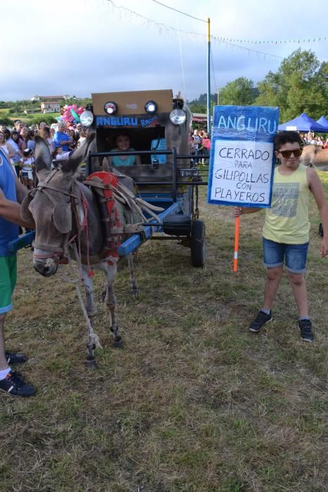 Carrera de burros en Pañeda