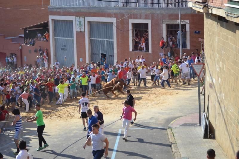 La carrera del Toro Enmaromado 2017 Razonador