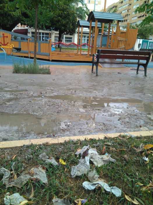 Las fotografías han sido tomadas en el parque Joan Fuster