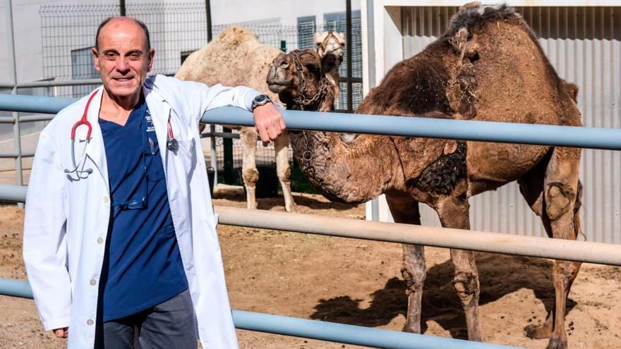Muere Alberto Montoya, catedrático de Veterinaria de la ULPGC y dos veces candidato a rector