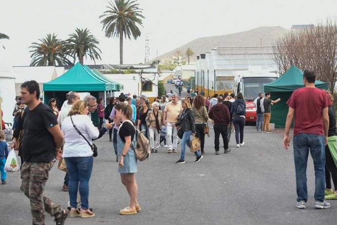 Feria Ecológica de Gran Canaria