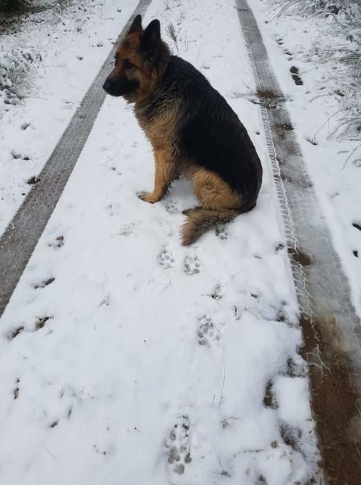 Primeras nevadas en Sanabria