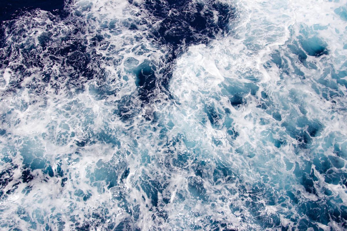 La ola de calor marina sumada al cambio climático pueden poner en riesgo a los peces pelágicos del Atlántico, según MSC