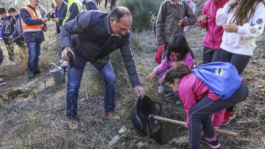 San Miguel vuelve a ser un monte verde