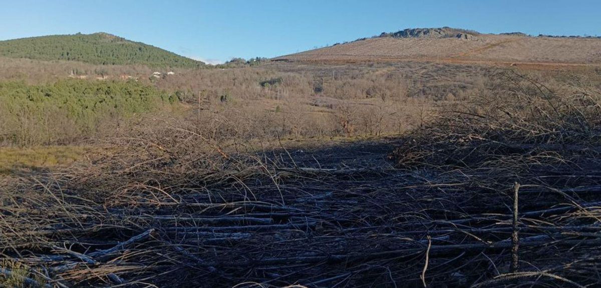 San Pedro de las Herrerías, del desastre del fuego a la brecha digital