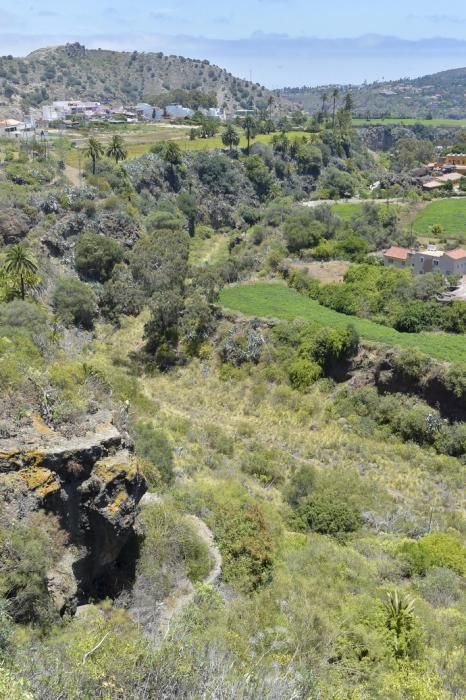 30-05-2019 LAS PALMAS DE GRAN CANARIA. Barranco Guiniguada a la altura de La Calzada  | 30/05/2019 | Fotógrafo: Andrés Cruz