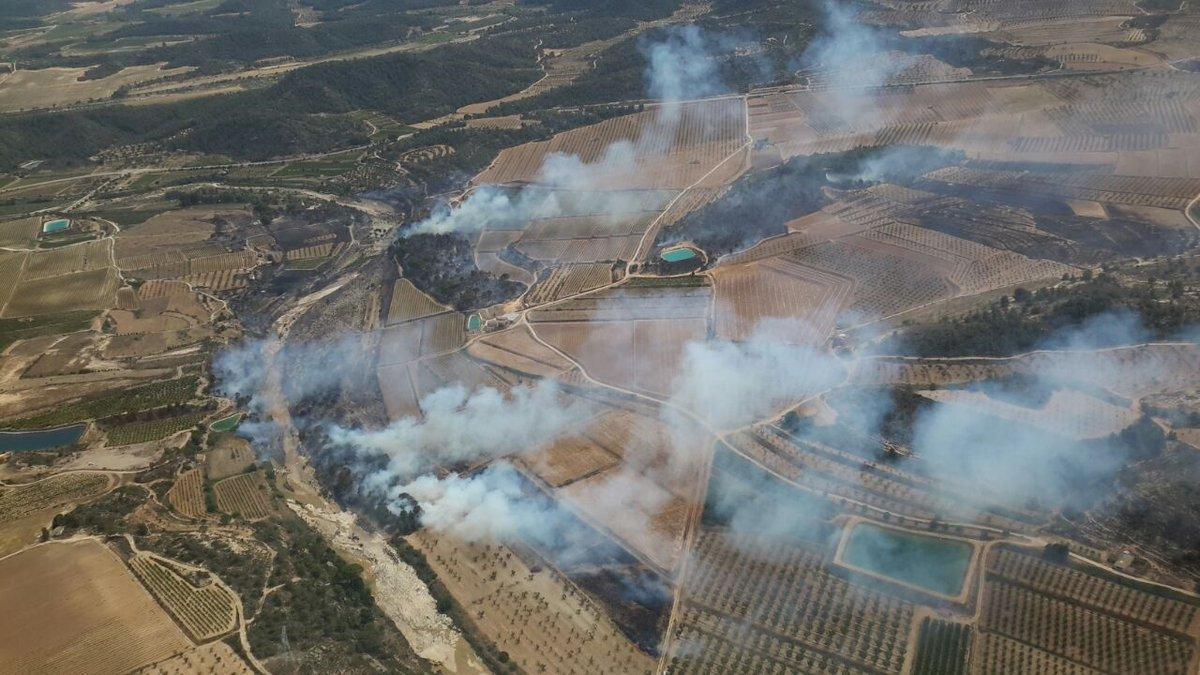 Arden 20 hectáreas de cultivo entre Maella y Batea (Tarragona)