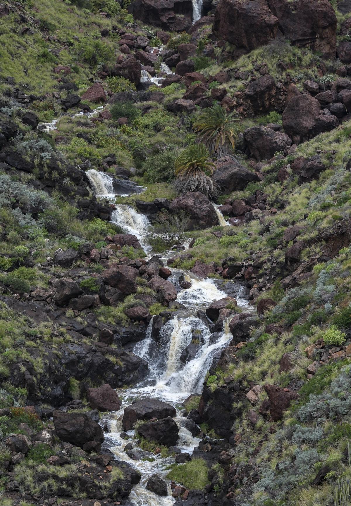 Las imágenes de la borrasca Therese en Gran Canaria (21/03/26)