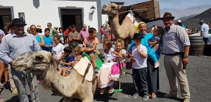 Vendimia Tradicional de La Geria