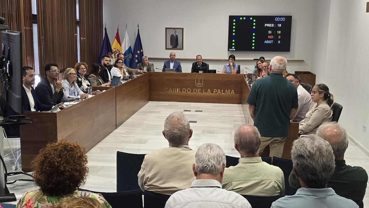 Moción para conceder la Medalla de la Isla a la Real Sociedad Económica de Amigos del País de La Palma