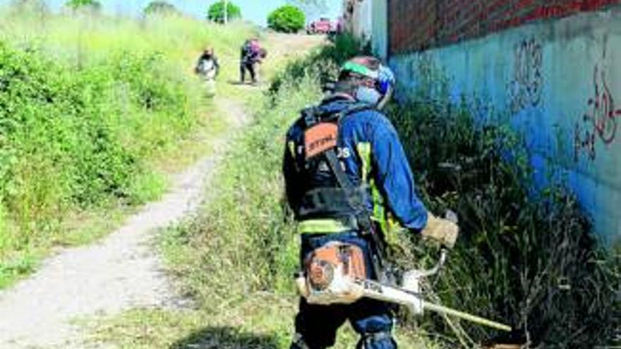 Siete equipos se encargan de hacer las tareas de desbroce